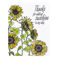 
              Sunflower Field Press Plate from the Serenade of Autumn Collection
            