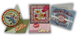 June 8, 2024 - Fun Folds Class by Ecstasy Crafts - Crafters Classroom