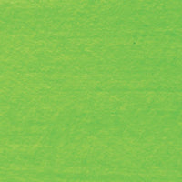 
              Absinthe Green Neon Polish
            