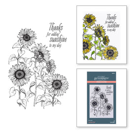 Sunflower Field Press Plate from the Serenade of Autumn Collection