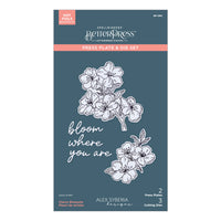 Cherry Blossoms BetterPress Plate & Die Set