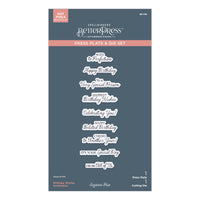 Birthday Wishes Sentiments BetterPress Plate & Die Set