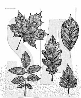 Sketchy Leaves