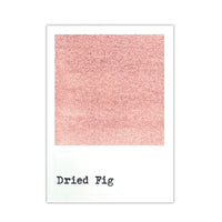 49 and Market Dye Ink Pad, Dried Fig