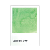 49 and Market Dye Ink Pad, Oxford Ivy