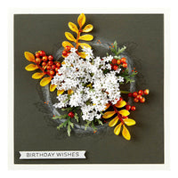 Queen Anne's Lace and Ladybugs