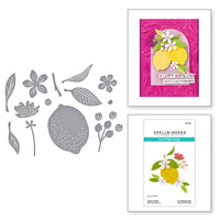 Citrus Spritz Etched Dies