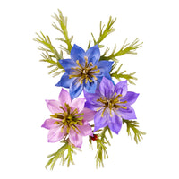 Love-in-a-Mist Etched Dies