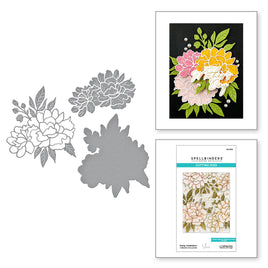 Peony Celebration