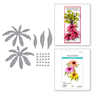 Echinacea (Coneflower) Etched Dies