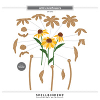 Wild Coneflowers Etched Dies
