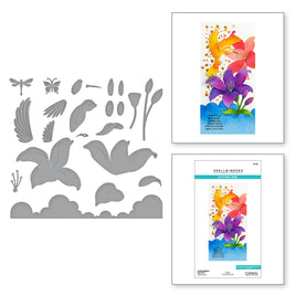 Hummingbird and Lily