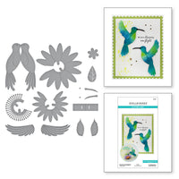 PopUp Hummingbird