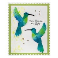 PopUp Hummingbird