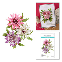 Astrantia Etched Dies