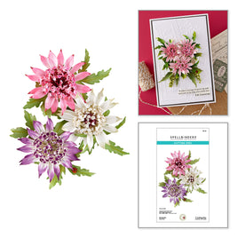 Astrantia Etched Dies