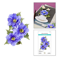 Clematis Poet Etched Dies