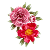 Double & Single Peonies Etched Dies