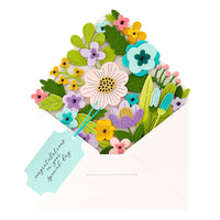 Envelope of Wonder