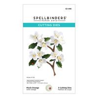Mock Orange