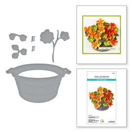 Nasturtium and Galvanized Wash Bucket