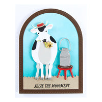 Hay There Clear Stamp and Die Set