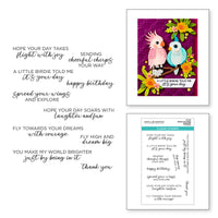 Spread Your Wings Sentiments Clear Stamp Set