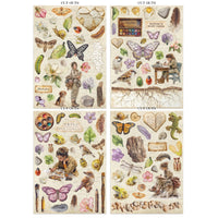 All Around - Stamperia Junk Journal