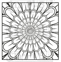 Circumference - 5½ x 5½