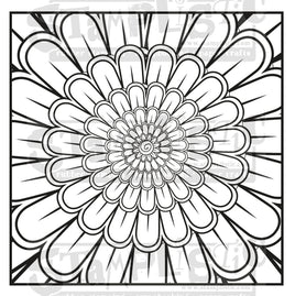 Circumference - 5½ x 5½