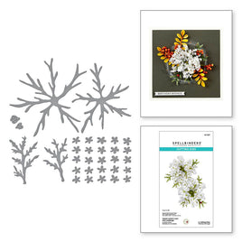 Queen Anne's Lace and Ladybugs