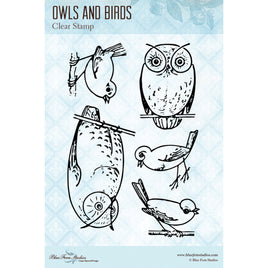 Owls and Birds