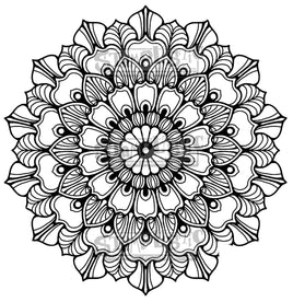 Abundant 3-Piece BUNDLE