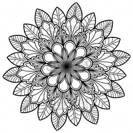 Bella 3-Piece BUNDLE