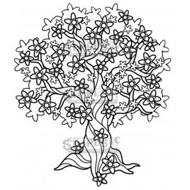 Cherry Blossom