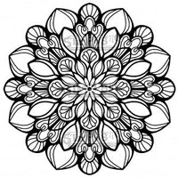 Eternal Bloom 3-Piece BUNDLE