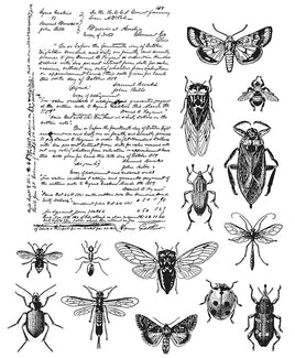 Entomology