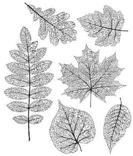 Pressed Foliage